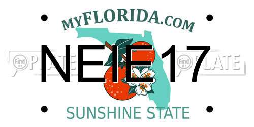 NEIE17 Florida License Plate