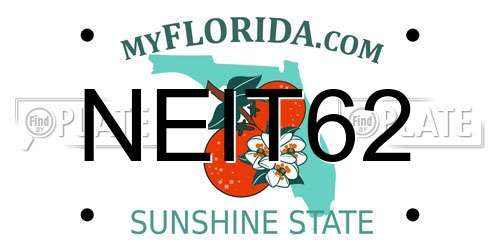 NEIT62 Florida License Plate