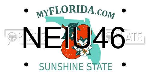NEIU46 Florida License Plate