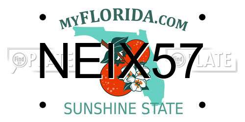 NEIX57 Florida License Plate