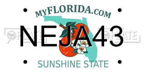 NEJA43 Florida License Plate