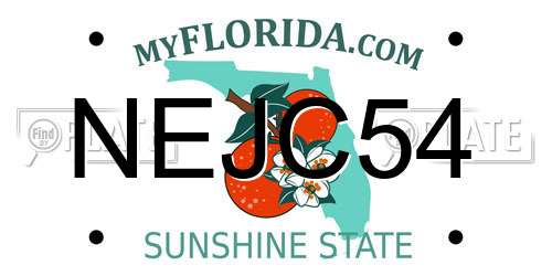 NEJC54 Florida License Plate