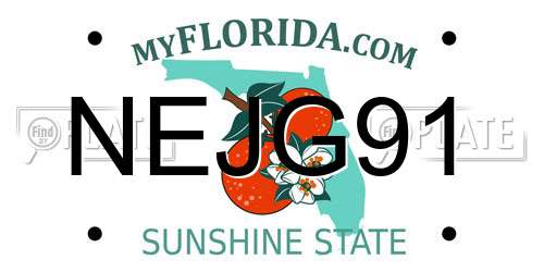 NEJG91 Florida License Plate