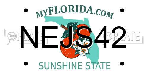 NEJS42 Florida License Plate