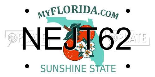 NEJT62 Florida License Plate