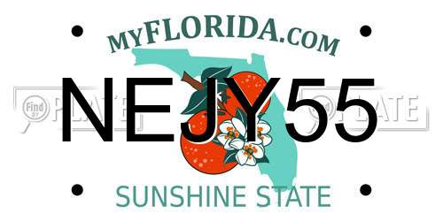 NEJY55 Florida License Plate