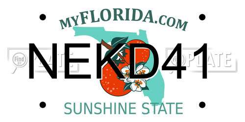 NEKD41 Florida License Plate