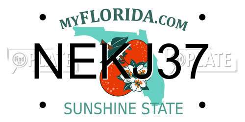 NEKJ37 Florida License Plate