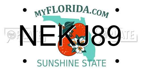 NEKJ89 Florida License Plate