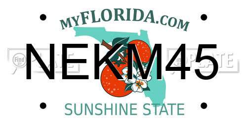 NEKM45 Florida License Plate