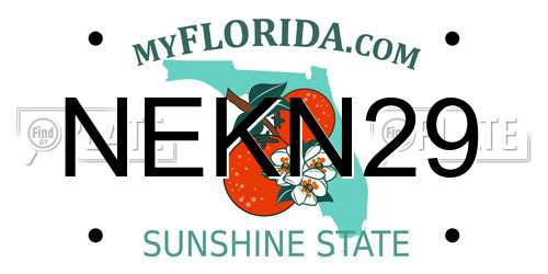 NEKN29 Florida License Plate