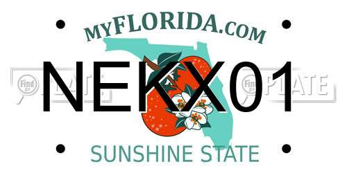 NEKX01 Florida License Plate