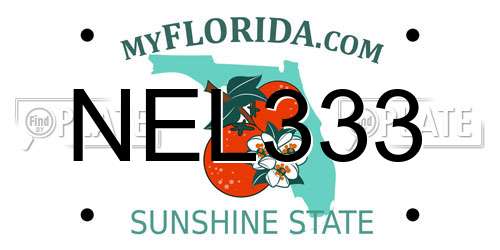 NEL333 Florida License Plate