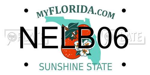 NELB06 Florida License Plate