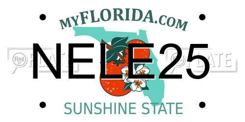 NELE25 Florida License Plate