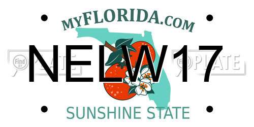 NELW17 Florida License Plate