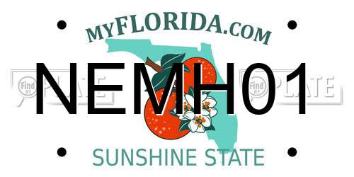 NEMH01 Florida License Plate