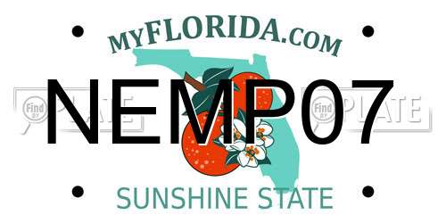 NEMP07 Florida License Plate