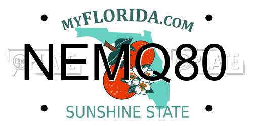 NEMQ80 Florida License Plate