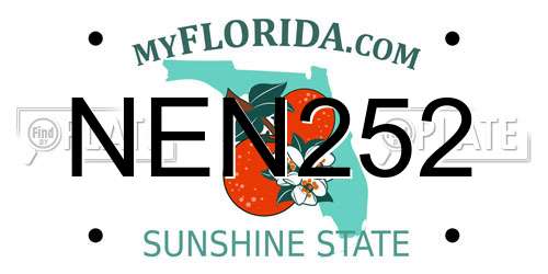 NEN252 Florida License Plate