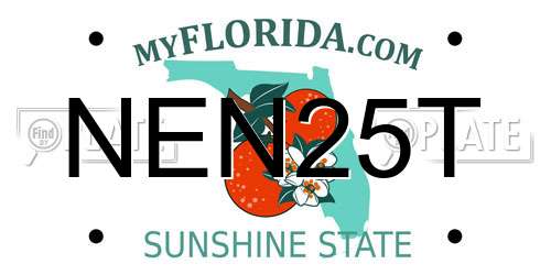 NEN25T Florida License Plate