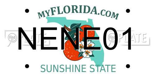 NENE01 Florida License Plate