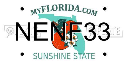 NENF33 Florida License Plate