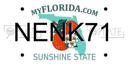 NENK71 Florida License Plate