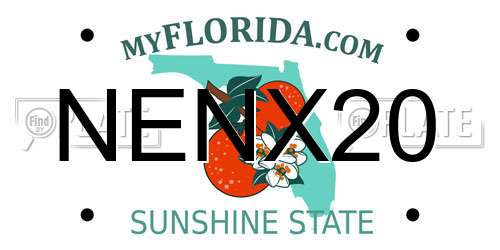 NENX20 Florida License Plate
