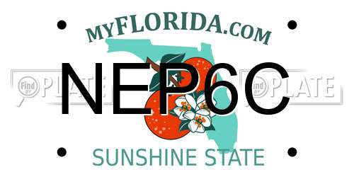 NEP6C Florida License Plate