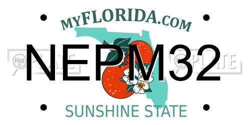 NEPM32 Florida License Plate
