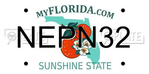 NEPN32 Florida License Plate