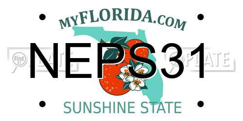 NEPS31 Florida License Plate