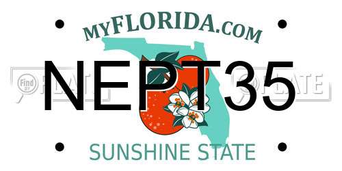 NEPT35 Florida License Plate