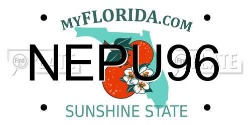 NEPU96 Florida License Plate