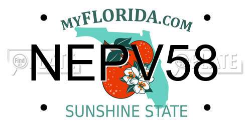 NEPV58 Florida License Plate