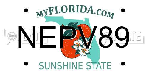 NEPV89 Florida License Plate