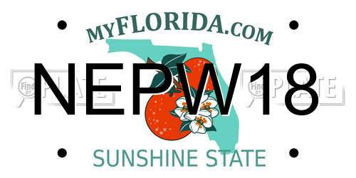 NEPW18 Florida License Plate