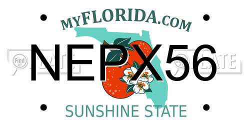 NEPX56 Florida License Plate