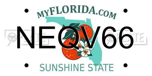 NEQV66 Florida License Plate