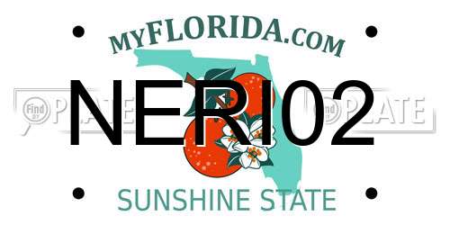 NERI02 Florida License Plate
