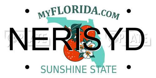 NERISYD Florida License Plate