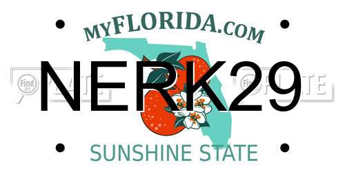 NERK29 Florida License Plate