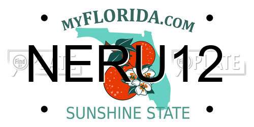 NERU12 Florida License Plate