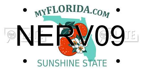NERV09 Florida License Plate