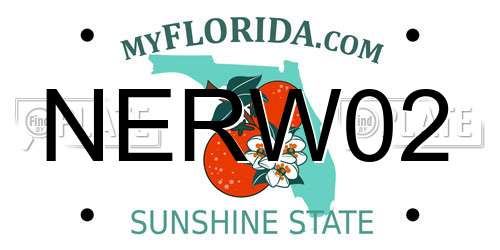 NERW02 Florida License Plate