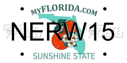 NERW15 Florida License Plate
