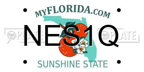 NES1Q Florida License Plate