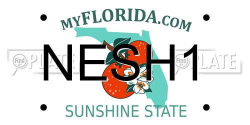 NESH1 Florida License Plate