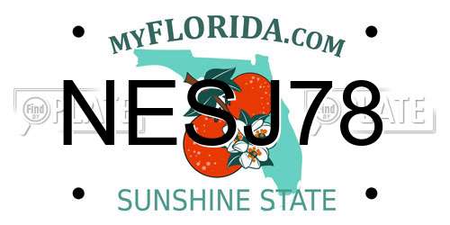 NESJ78 Florida License Plate